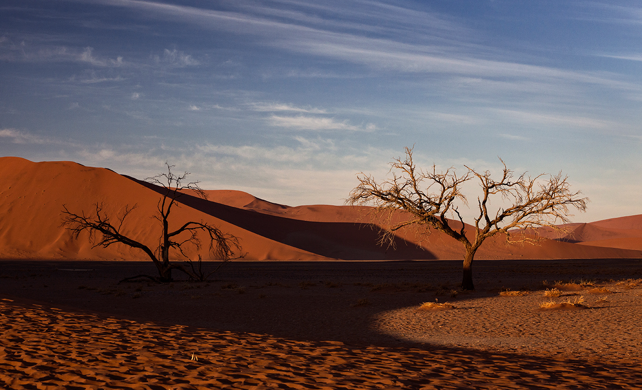 Namib-Wüste am frühen Morgen
